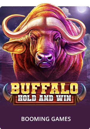Buffalo Hold and Win