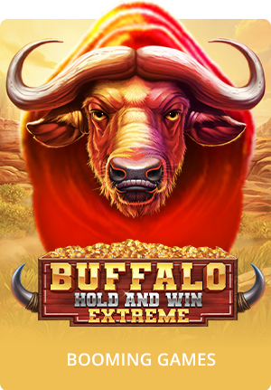 Buffalo Hold and Win